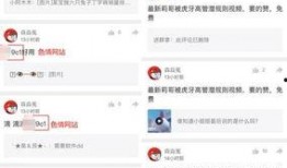 视频爆料规则最新版是什么,全面了解内容规范与责任